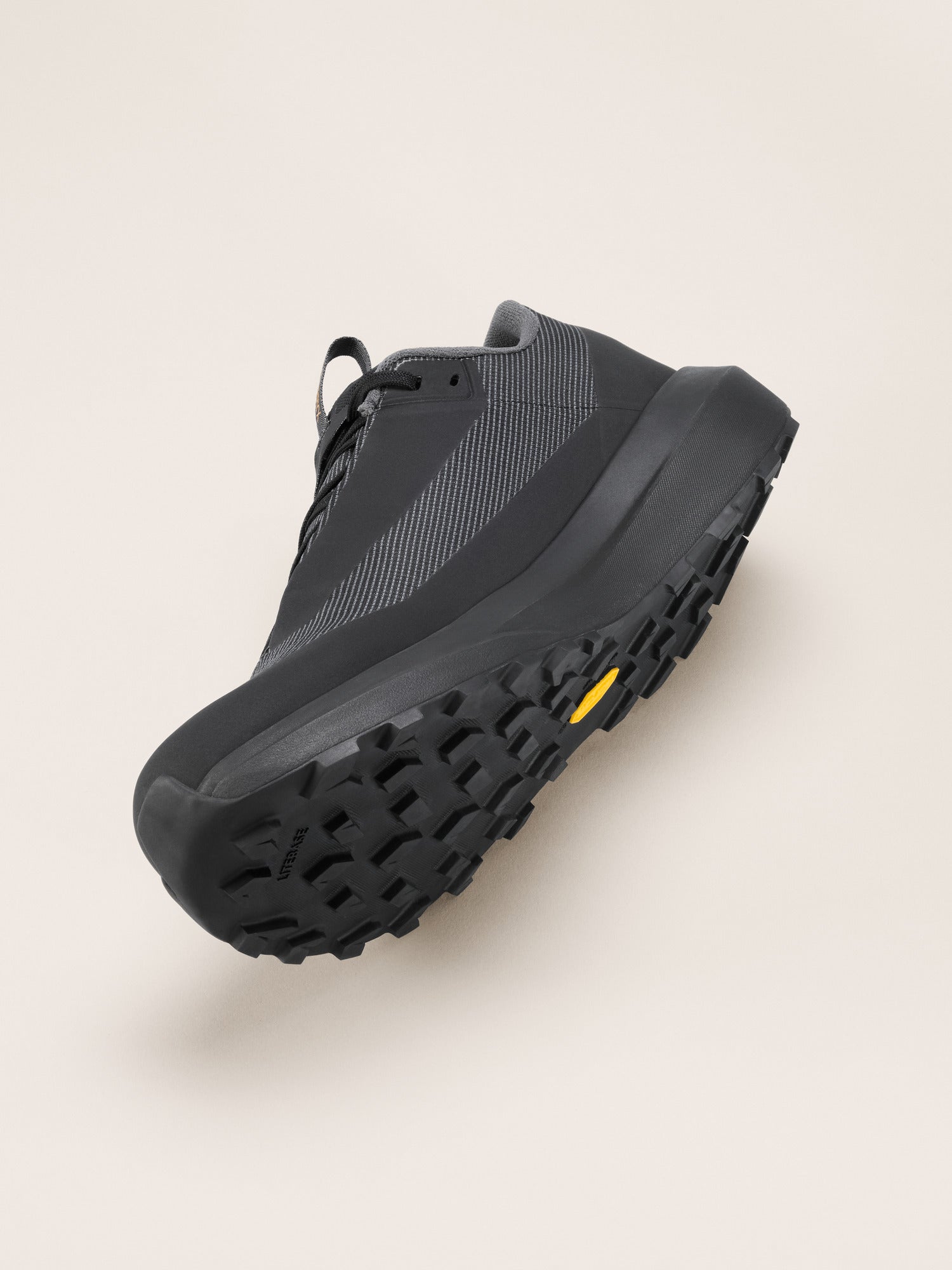 NORVAN LD 4 GTX 越野跑鞋 男款