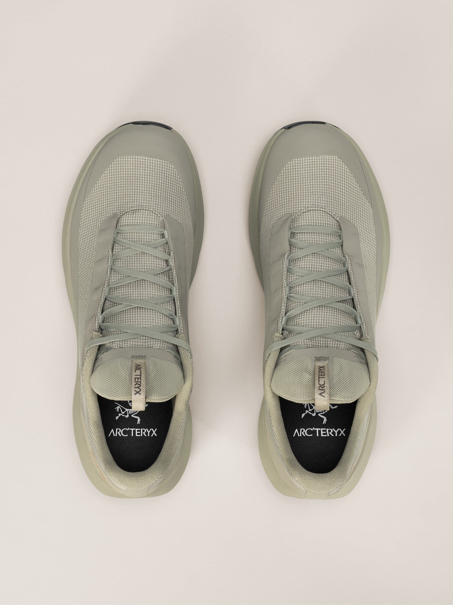 NORVAN LD 4 GTX 越野跑鞋 男款