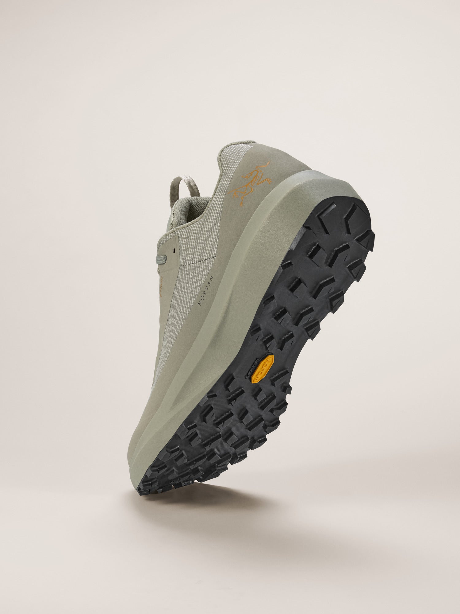 NORVAN LD 4 GTX 越野跑鞋 男款