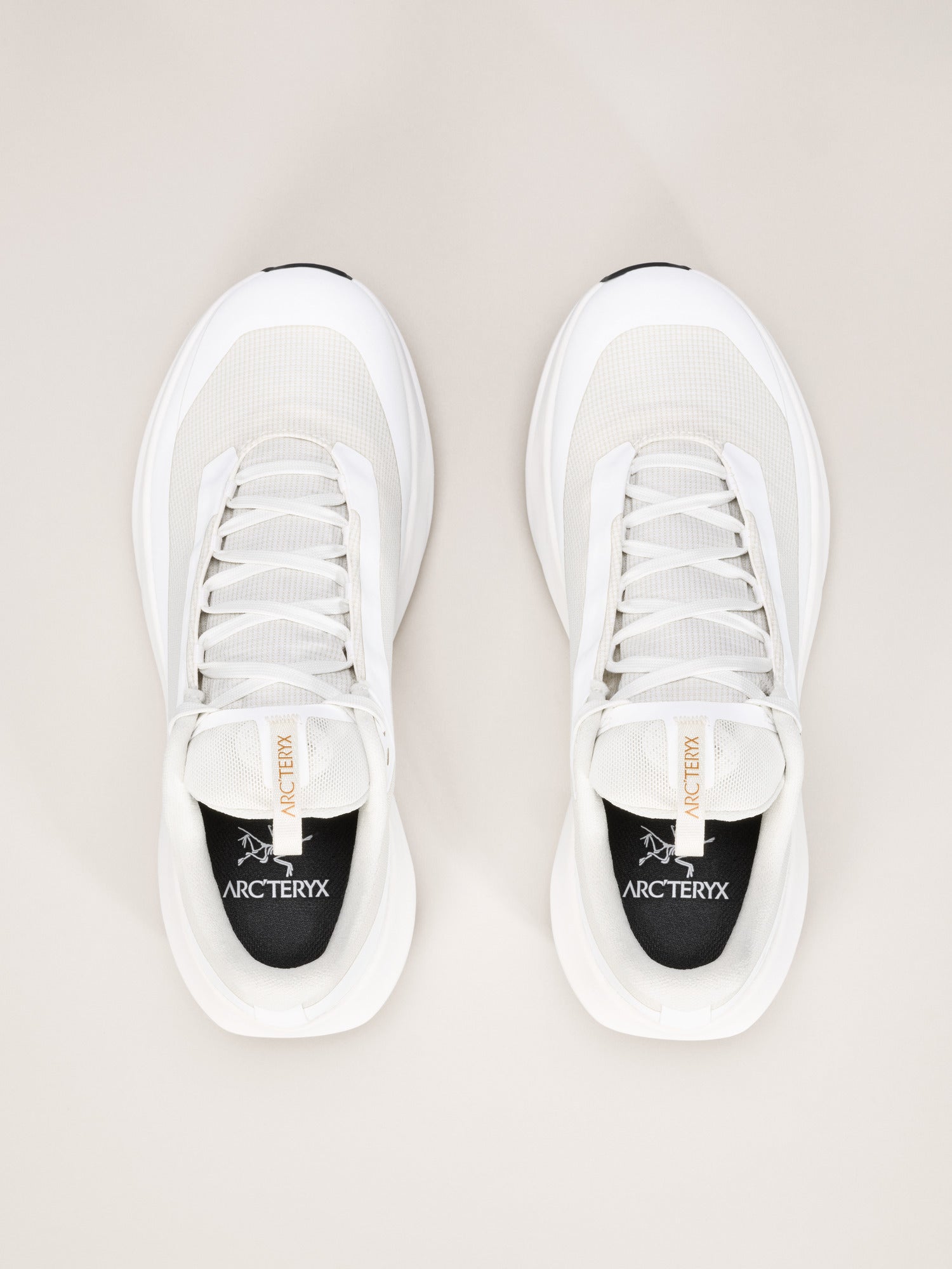 NORVAN LD 4 GTX 越野跑鞋 女款